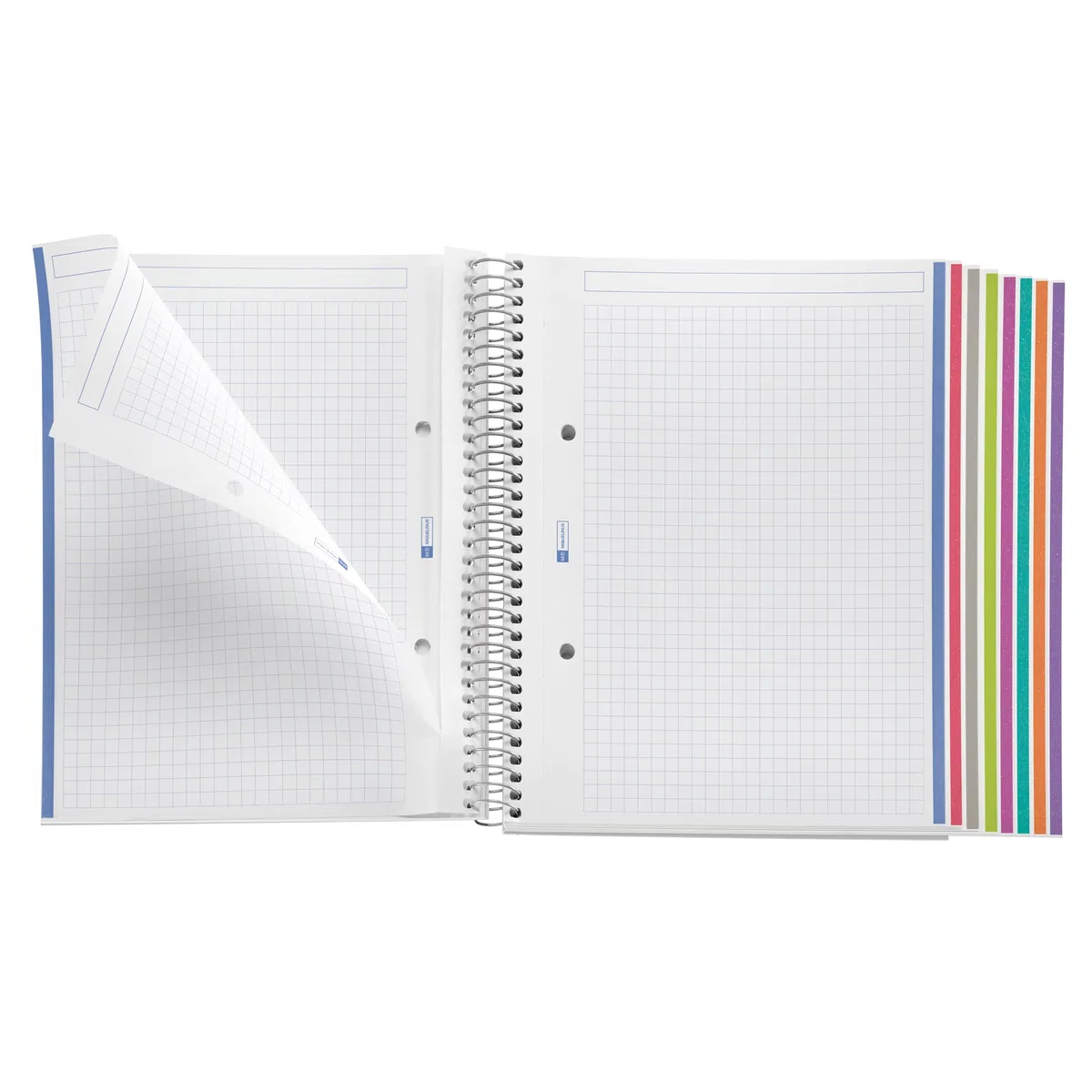 Miquelrius - Lot 3 cahiers A5 quadrillés, Notebook The Original, 8 bandes de couleur, Couverture en polypropylène, 2 perforations pour le classement, 200 Pages de 70 g/m², Petits carreaux