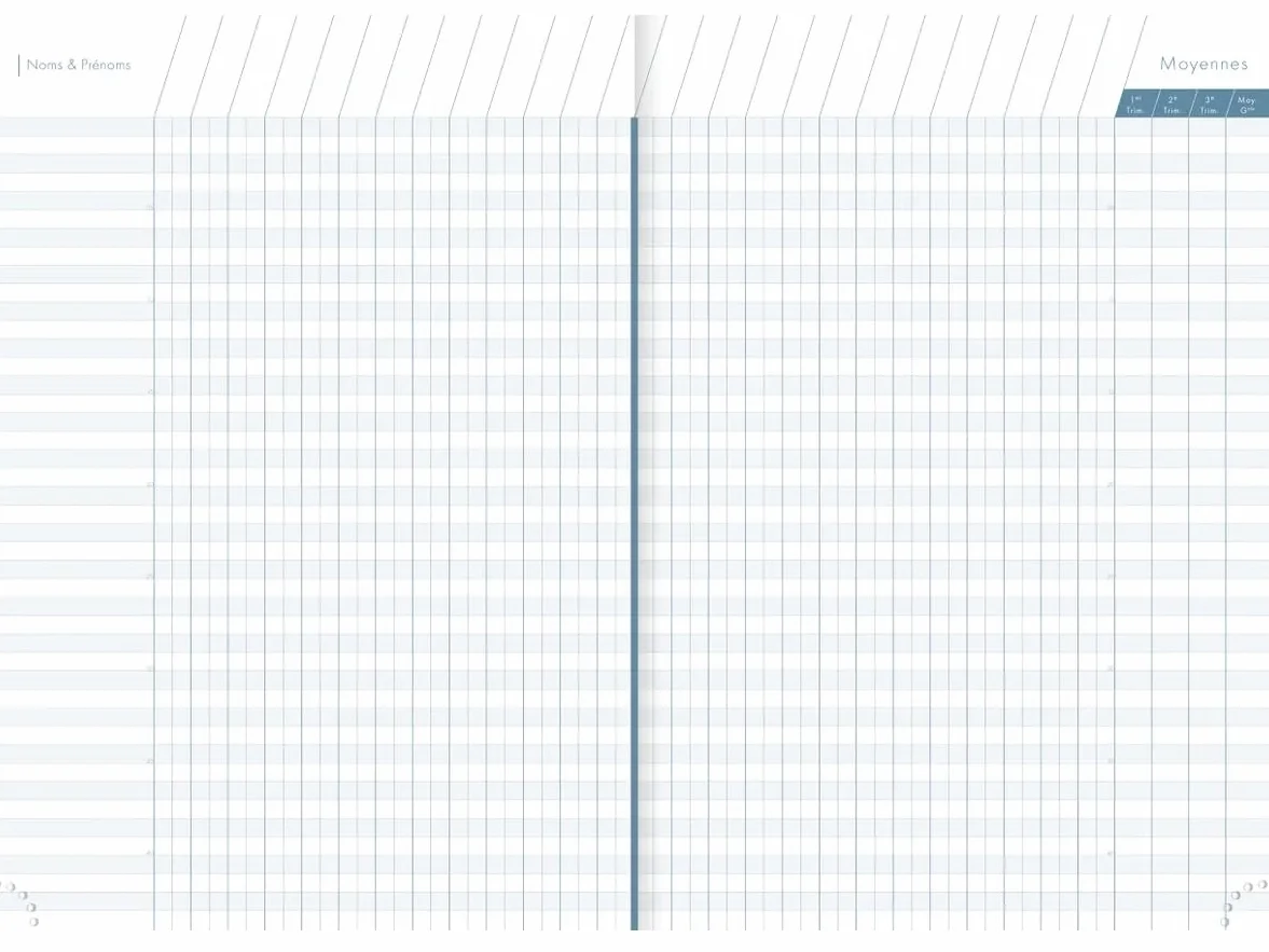 Clairefontaine - 1 Agenda de Bord Millésimé Pour Enseignant - Septembre 2026 à Août 2027 - Format 21 x 29,7 cm - Visuels Bleu