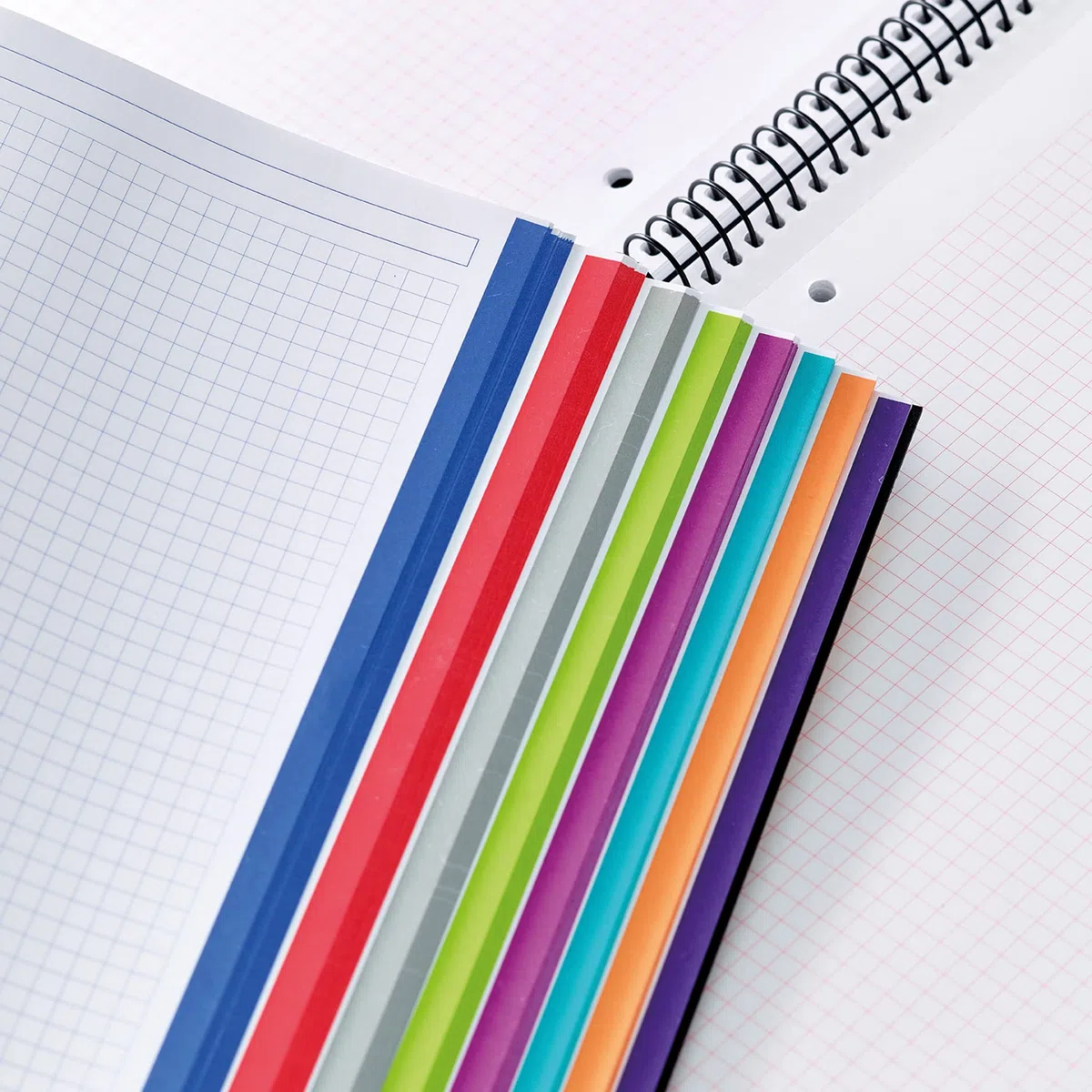 Miquelrius - Lot 3 cahiers A5 quadrillés, Notebook The Original, 8 bandes de couleur, Couverture en polypropylène, 2 perforations pour le classement, 200 Pages de 70 g/m², Petits carreaux
